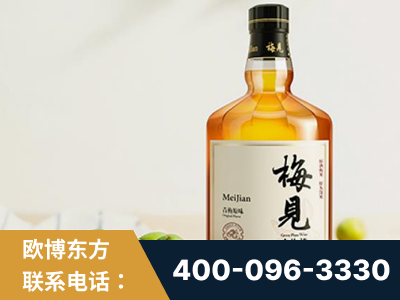 福清-梅见青梅酒